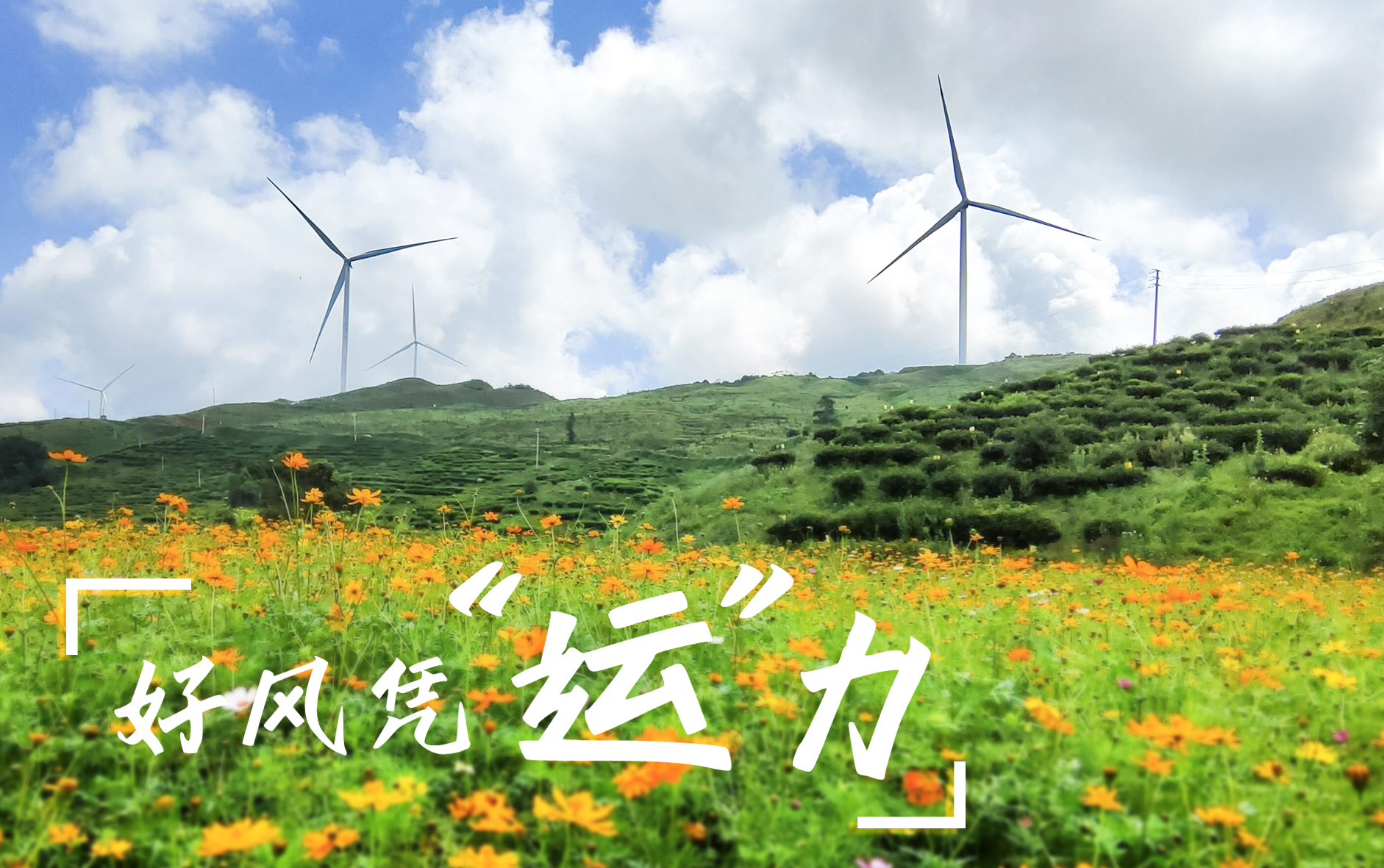 【好風憑“運”力】“大風車”轉(zhuǎn)出鄉(xiāng)村振興新路子